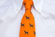 Tennessee Volunteer Traditions Bluetick Tie